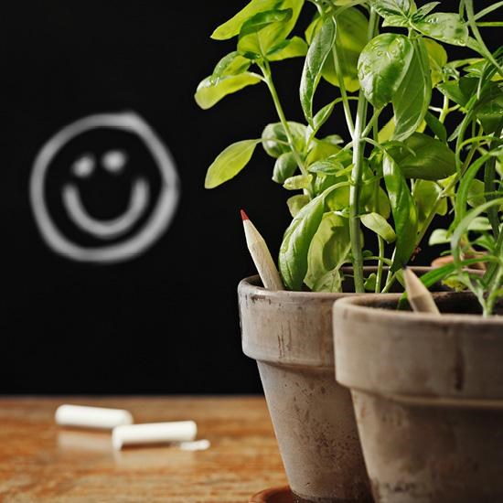 SPROUT - Farbstift mit Etui